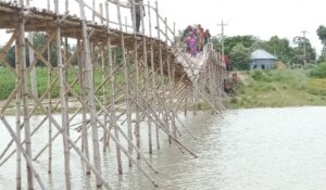 গোয়ালন্দে ভরসার বাঁশের সাঁকোই এখন মরণ ফাঁদ। 